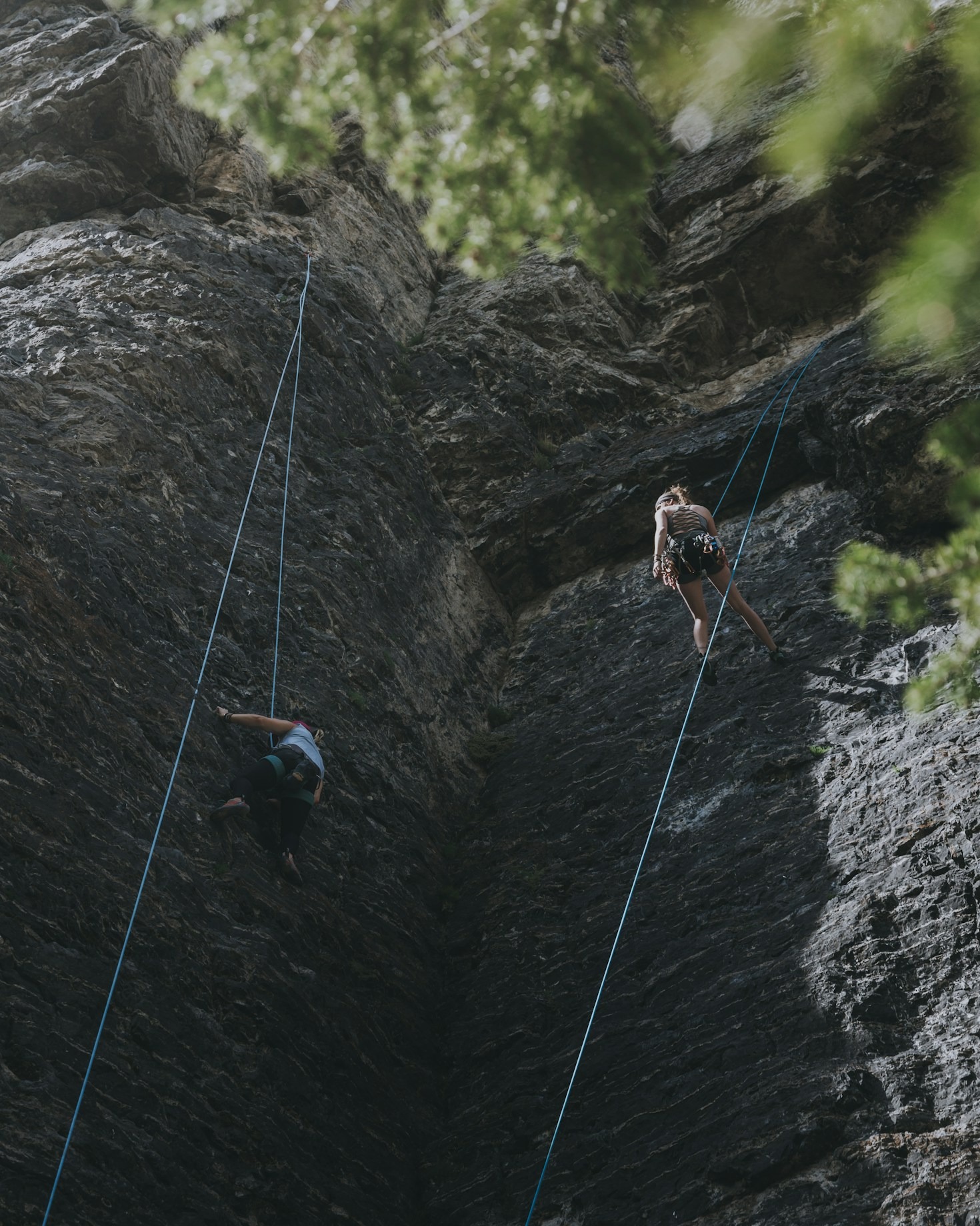 Unforgettable Games Nights: Strengthening Bonds